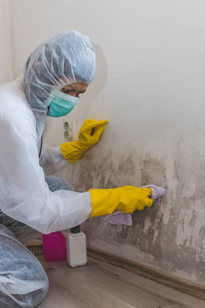 Best Commercial Mold Inspection  in Cottonwood, ID