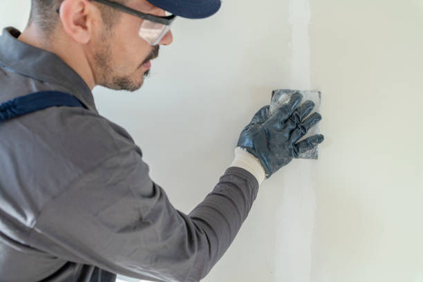 Best Mold Removal for HVAC Installations  in Cottonwood, ID