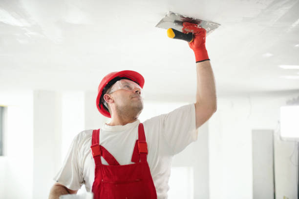Asbestos and Lead Testing During Mold Inspection in Cottonwood, ID