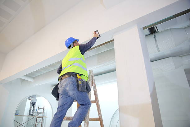Best Mold Odor Removal Services  in Cottonwood, ID