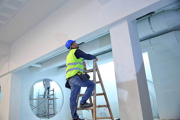 Best Mold Damage Restoration  in Cottonwood, ID
