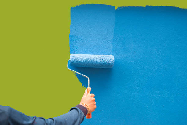 Best Environmental Consulting for Mold Prevention  in Cottonwood, ID
